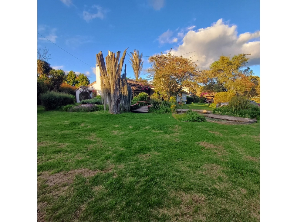 ARRIENDO EN TENJO -FINCA COMERCIAL EN TENJO : EN ZONA GASTRONÓMICA - 6