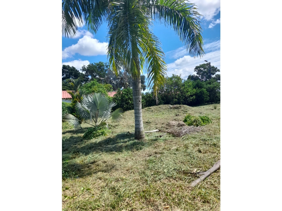 VENDO LOTE EN VILLAVICENCIO - VEREDA LA LLANERITA - 1