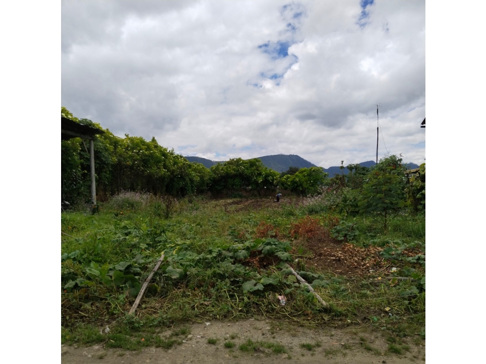 VENDO DOS LOTES EN EL SECTOR LA VIRGEN - TENJO CUNDINAMARCA - 3