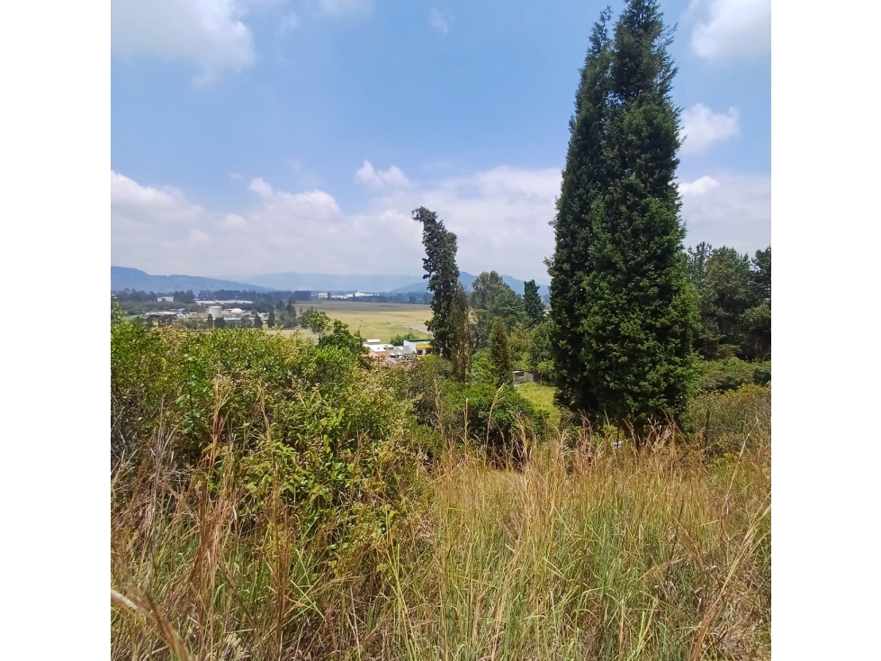 VENDO ESPECTACULAR LOTE EN SOPÓ, CUNDINAMARCA - 3
