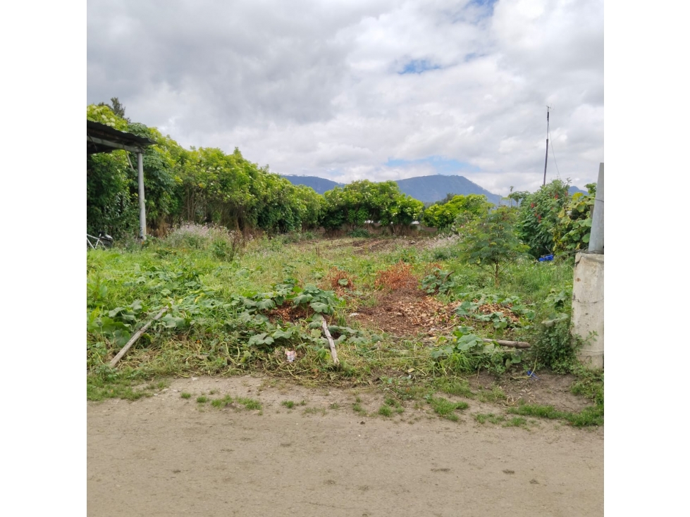 VENDO DOS LOTES EN EL SECTOR LA VIRGEN - TENJO CUNDINAMARCA - 1