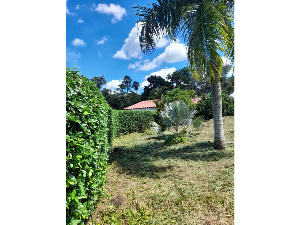 VENDO LOTE EN VILLAVICENCIO - VEREDA LA LLANERITA - 6