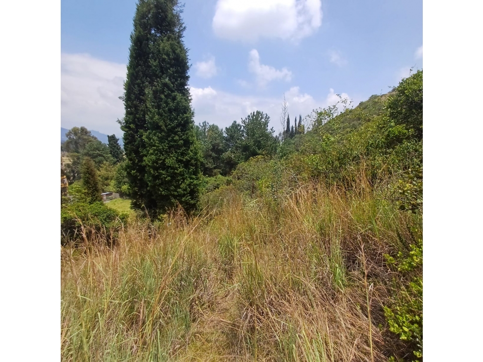 VENDO ESPECTACULAR LOTE EN SOPÓ, CUNDINAMARCA - 5