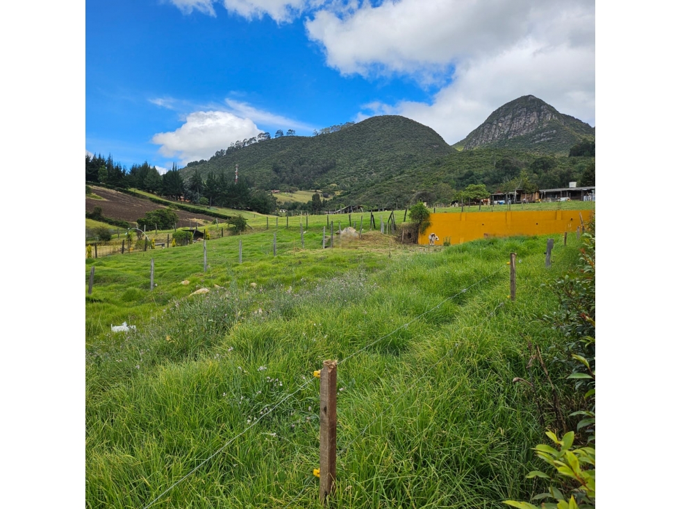 VENDO LOTE EN TABIO VEREDA JUAICA - 2