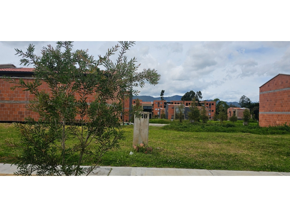 Cesion de derecho lote en la Ceja 265439