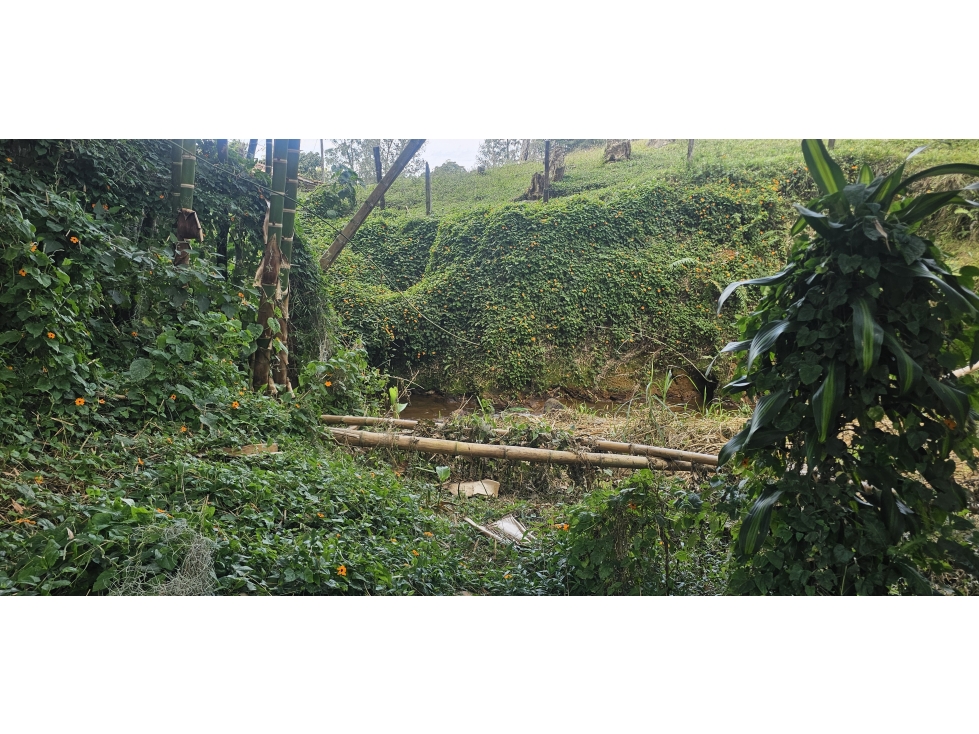 Tu refugio soñado en un espectacular lote del Tablazo 267521 — foto 3