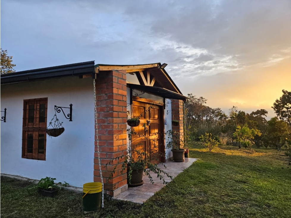 VENDO HERMOSA FINCA EN SAN VICENTE-FERRER 250028 — foto 6