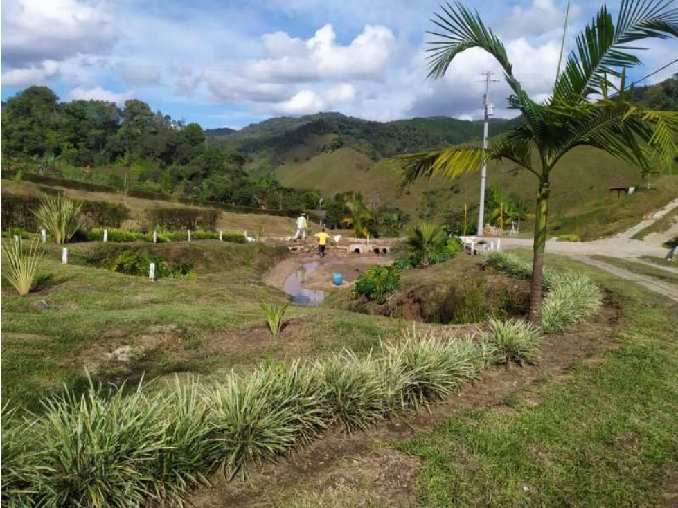 Vendo Lotes en Santo Domingo Antioquia 248081 - 6