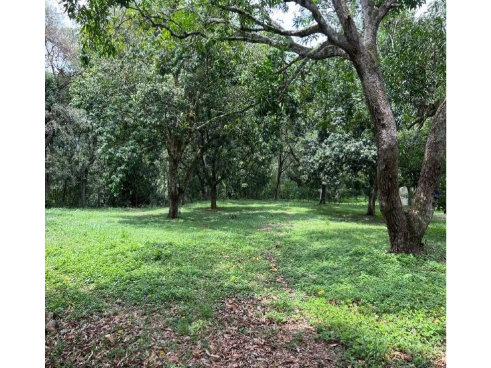 LOTE PARA LA VENTA EN EL MUNICIPIO DE SOPETRAN, EN PARCELACIÓN