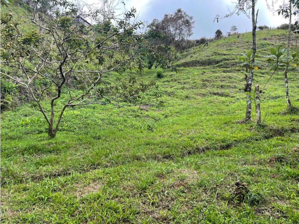 LOTE EN VENTA EN EL SANTUARIO ANTIOQUIA