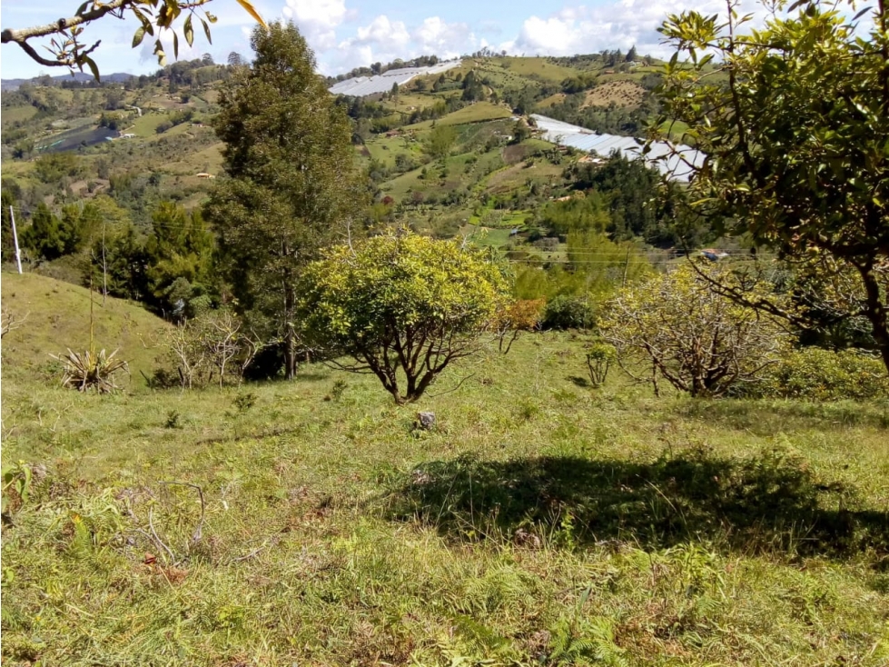 (I) LOTE PARA LA VENTA EN MARINILLA ANTIOQUIA - 2