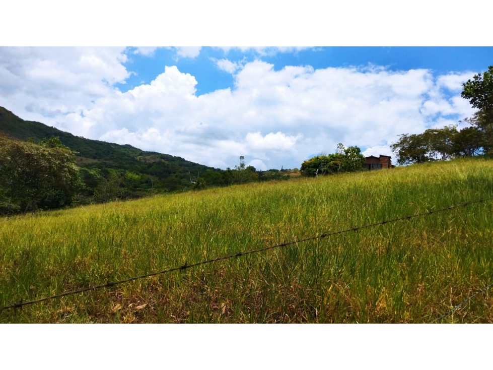 (J) Lote en San Jerónimo Loma Hermosa para Parcelar 32.013 mt2 - 2