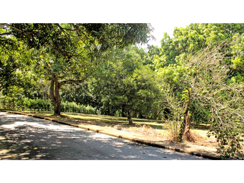 LOTE PARA LA VENTA EN EL MUNICIPIO DE SOPETRAN, EN PARCELACIÓN — foto 2