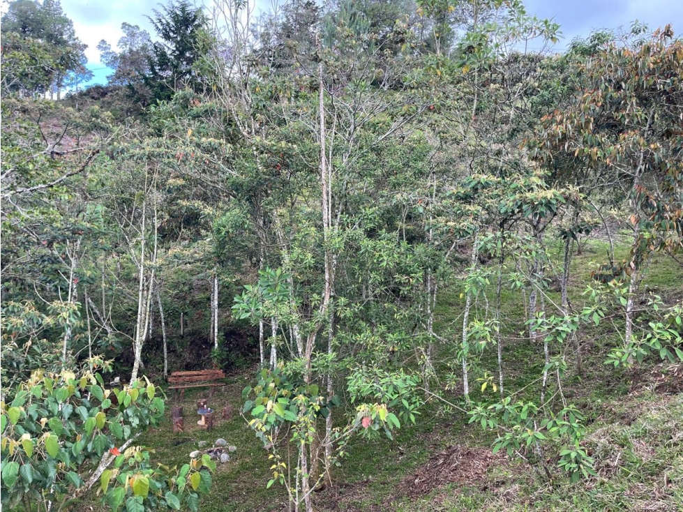LOTE EN VENTA EN EL SANTUARIO ANTIOQUIA — foto 2