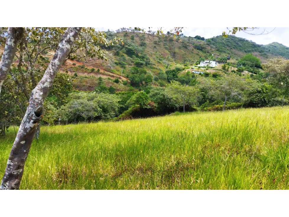 (J) Lote en San Jerónimo Loma Hermosa para Parcelar 32.013 mt2 - 4