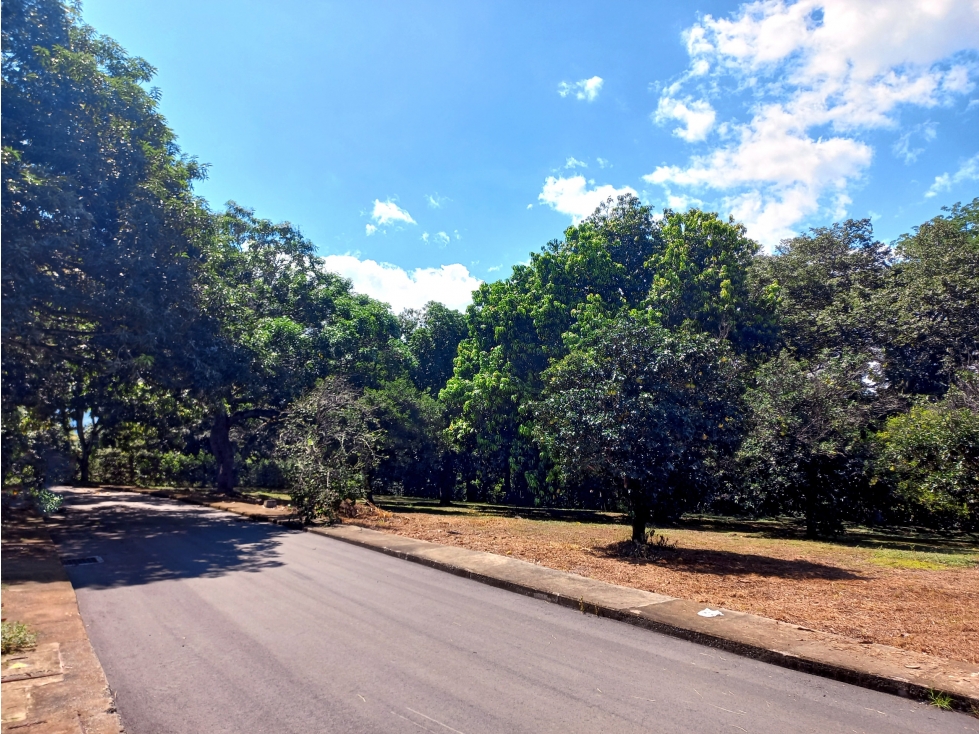 LOTE PARA LA VENTA EN EL MUNICIPIO DE SOPETRAN, EN PARCELACIÓN — foto 4