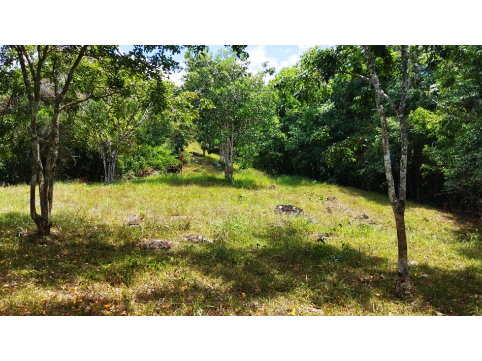 (J) Lote en San Jerónimo Loma Hermosa para Parcelar 32.013 mt2 - 5