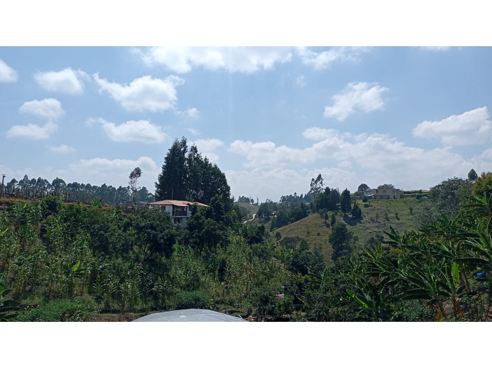 FINCA EN VENTA EN RIONEGRO ANTIOQUIA, DE DESCANSO Y PRODUCCION. — foto 5