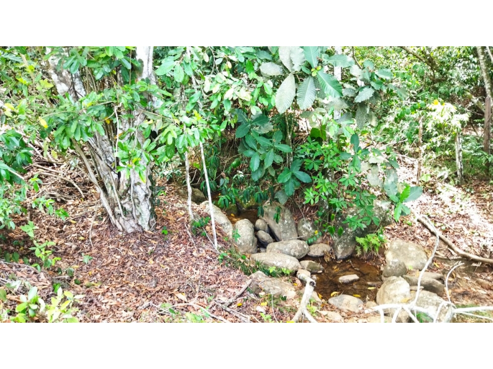 (J) Lote en San Jerónimo Loma Hermosa para Parcelar 32.013 mt2 - 6
