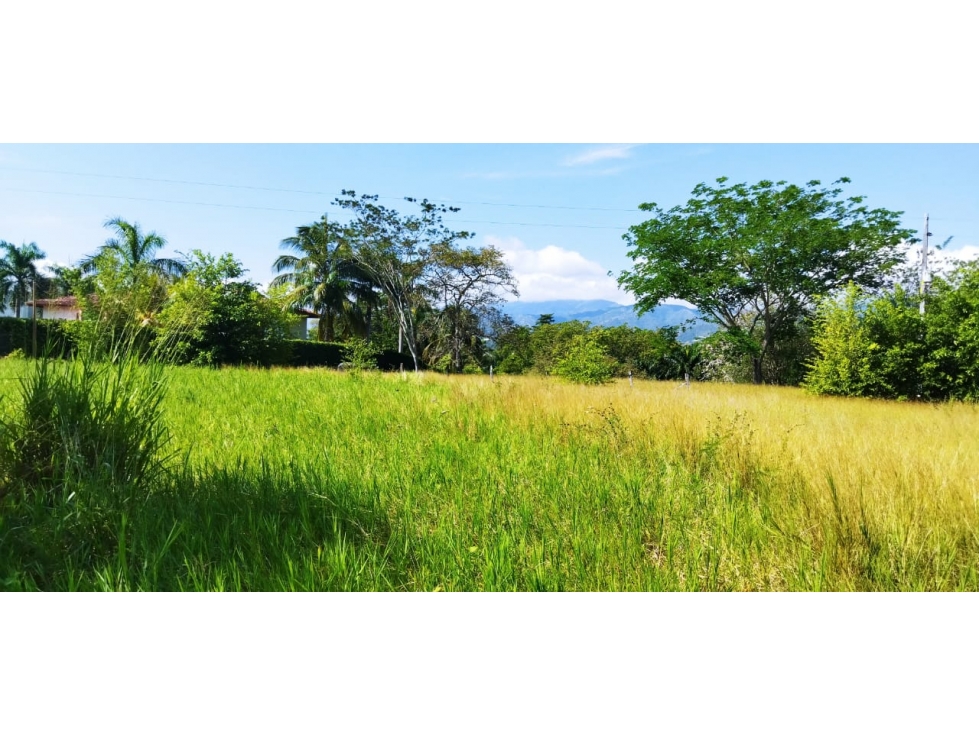 (J) Lote en venta Santa Fe de Antioquia Parcelación Pangordito — foto 5
