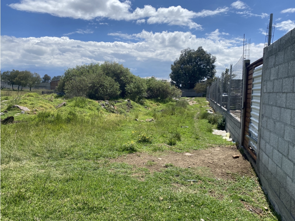 TERRENO VENTA TLAXCALA, 596 M2 APIZACO PBDO DE SAN LUIS APIZAQUITO - 4
