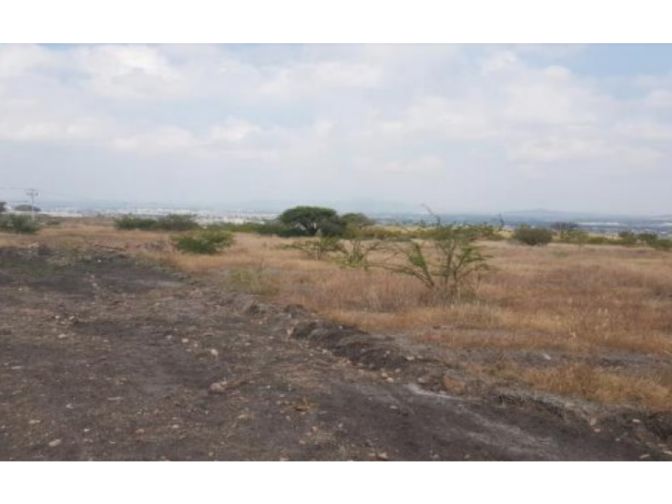 SAN JUAN DEL RIO QUERETARO TERRENO INDUSTRIAL VENTA - 3