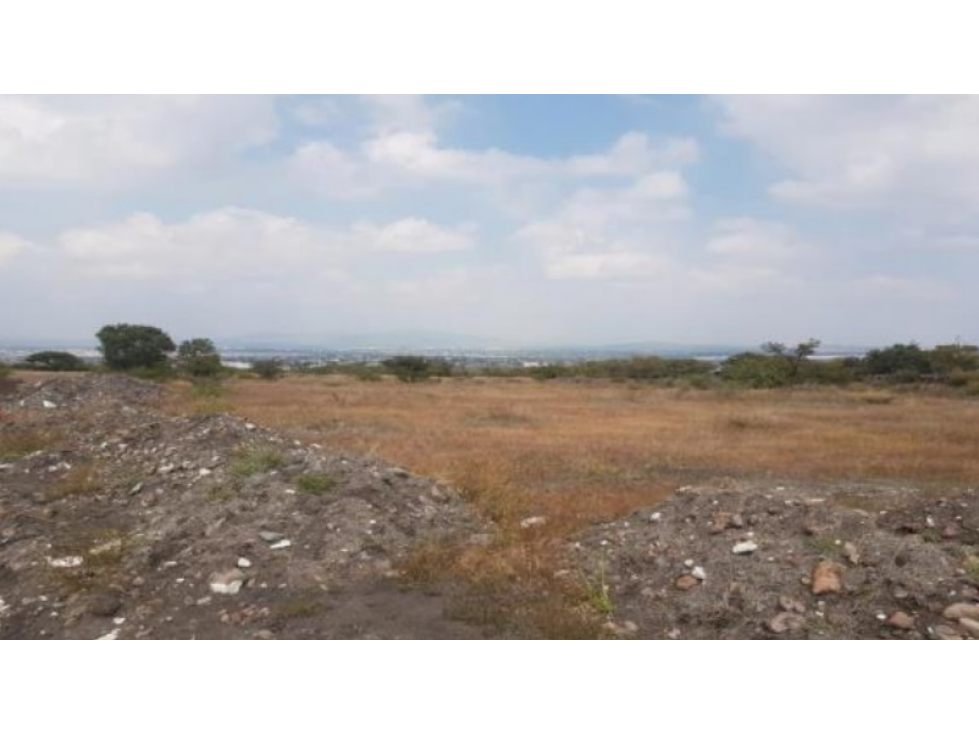 SAN JUAN DEL RIO QUERETARO TERRENO INDUSTRIAL VENTA - 5