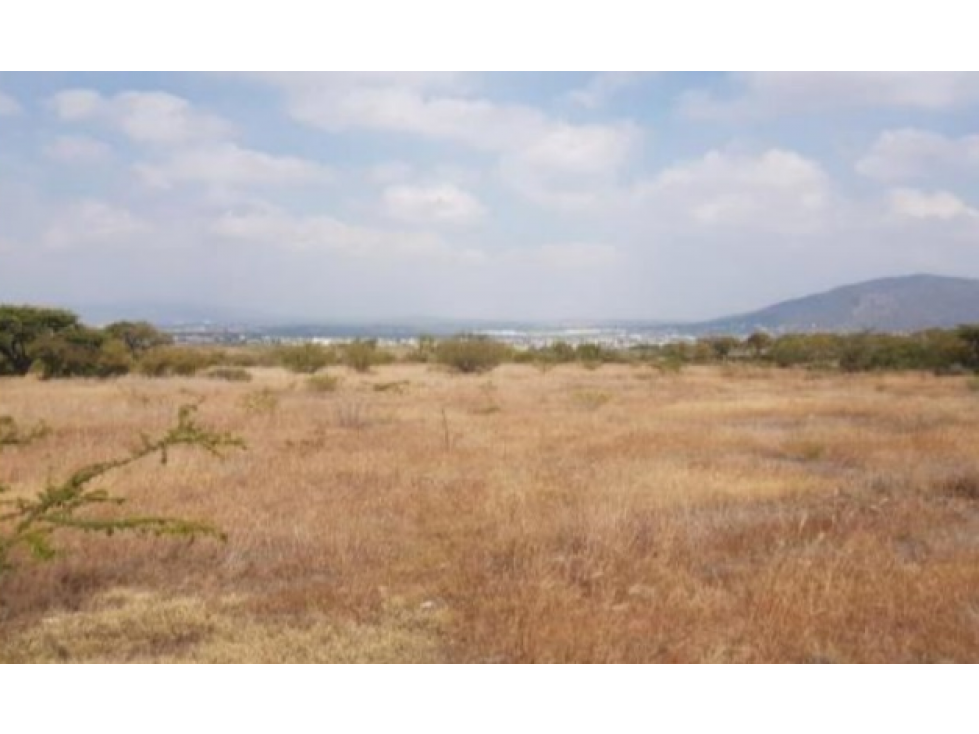 SAN JUAN DEL RIO QUERETARO TERRENO INDUSTRIAL VENTA - 5