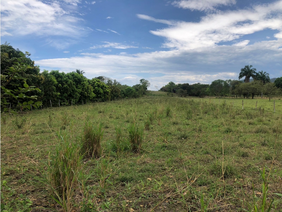 Se Vende Lote en Ricaurte - 4