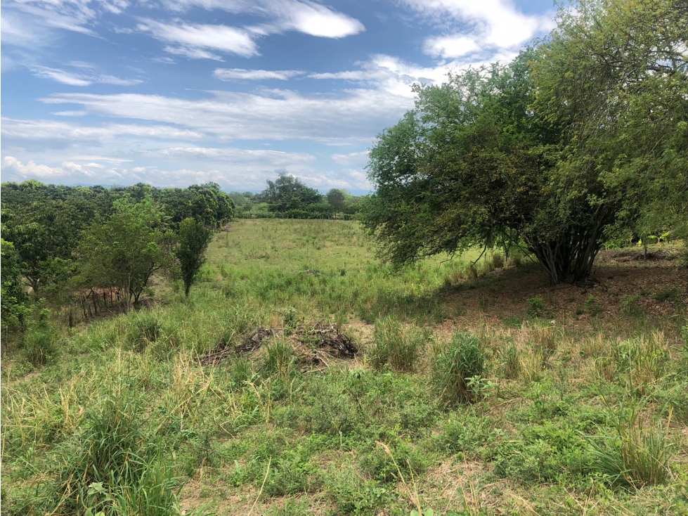 Se Vende Lote en Ricaurte - 6