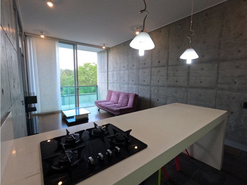 RIO VERDE PANCE, APARTAESTUDIO AMOBLADO EN VENTA — foto 6