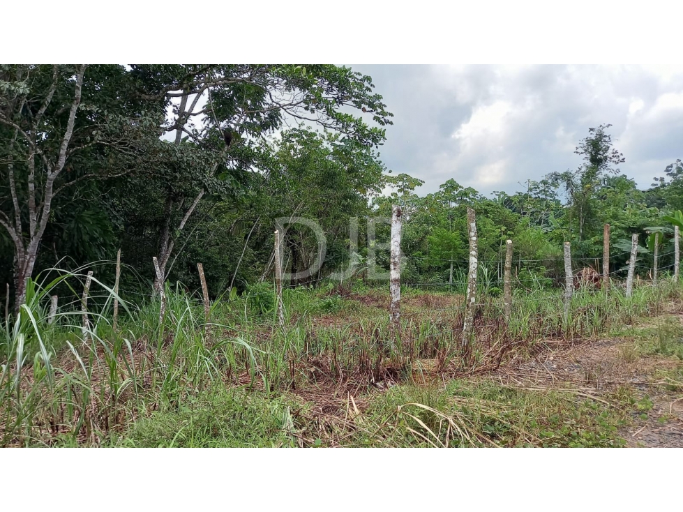 VENDO TERRENO EN CHILIBRE $170,000 #182 — foto 4