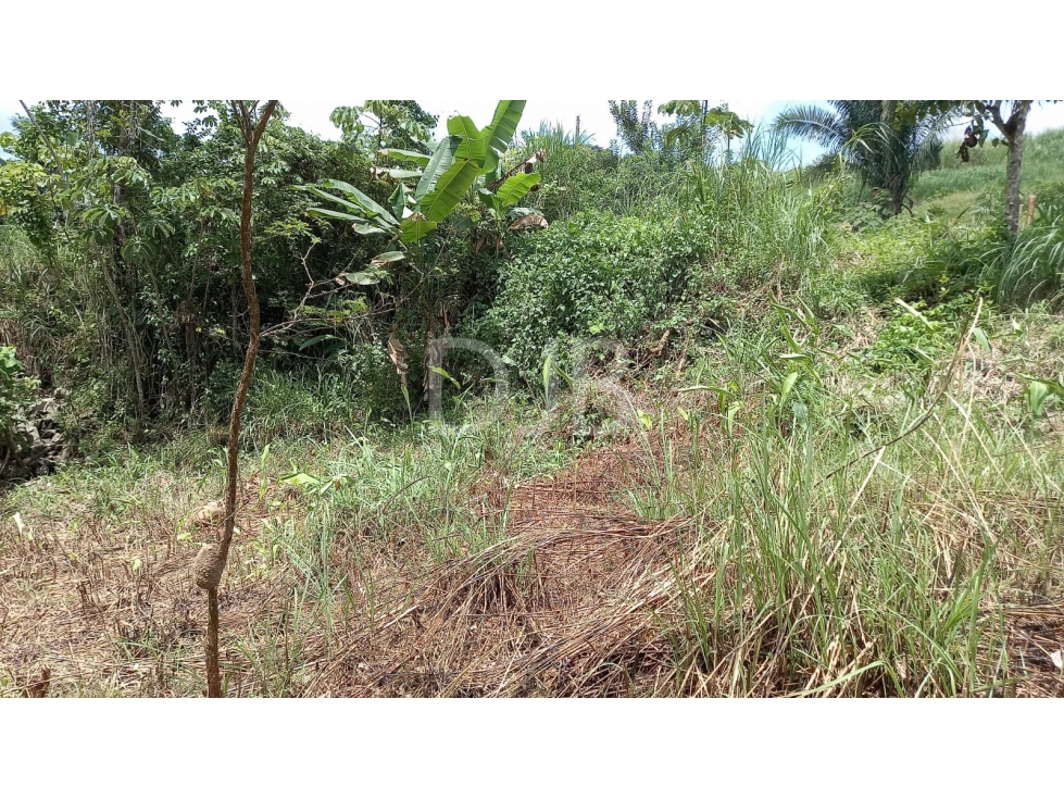 VENDO TERRENO EN CHILIBRE $170,000 #182 — foto 5