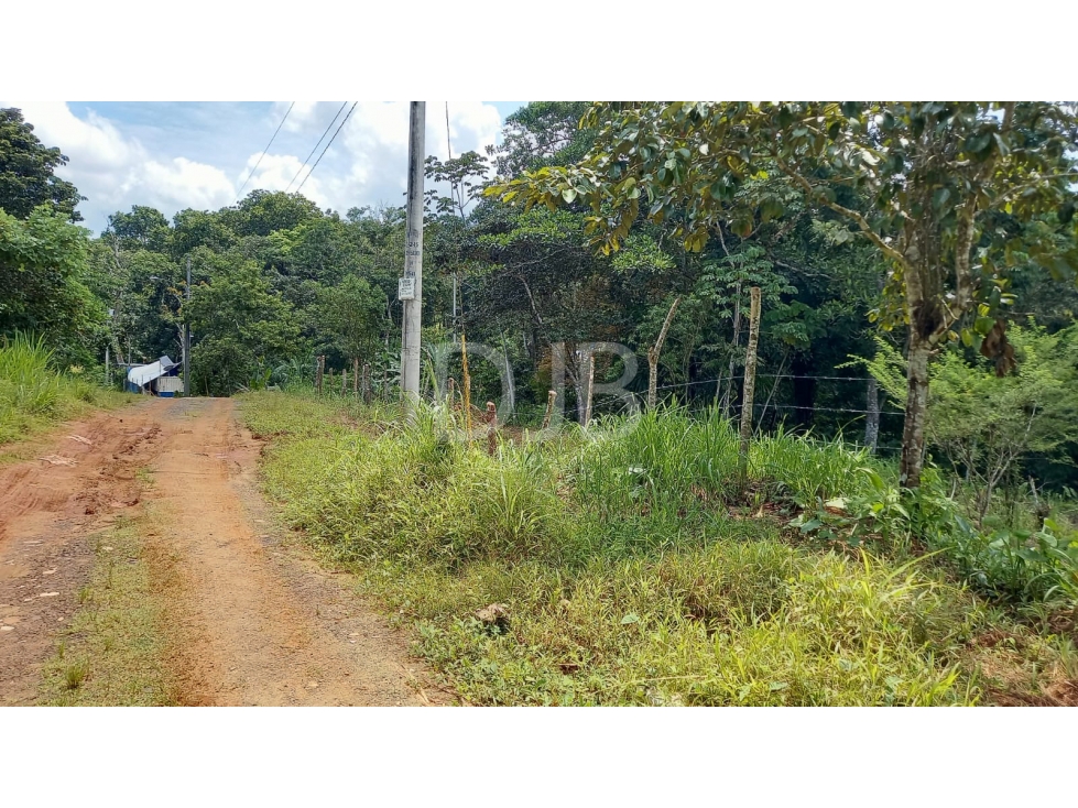 VENDO TERRENO EN CHILIBRE $170,000 #182 — foto 6
