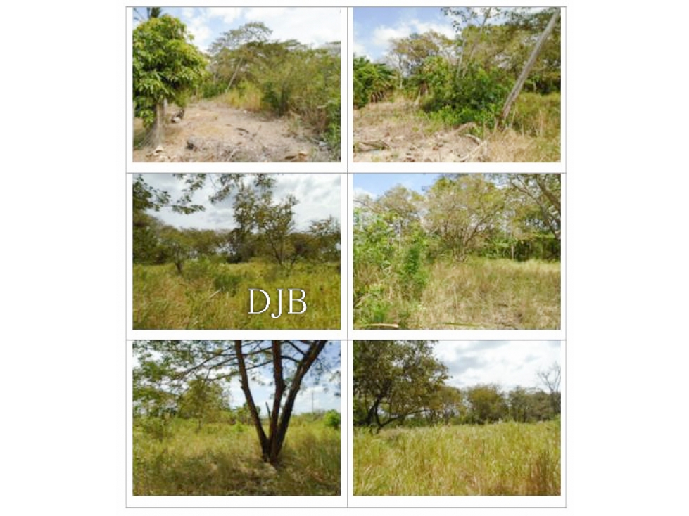 Terreno en venta en Juan Hombrón, corregimiento de El Chirú. - 5