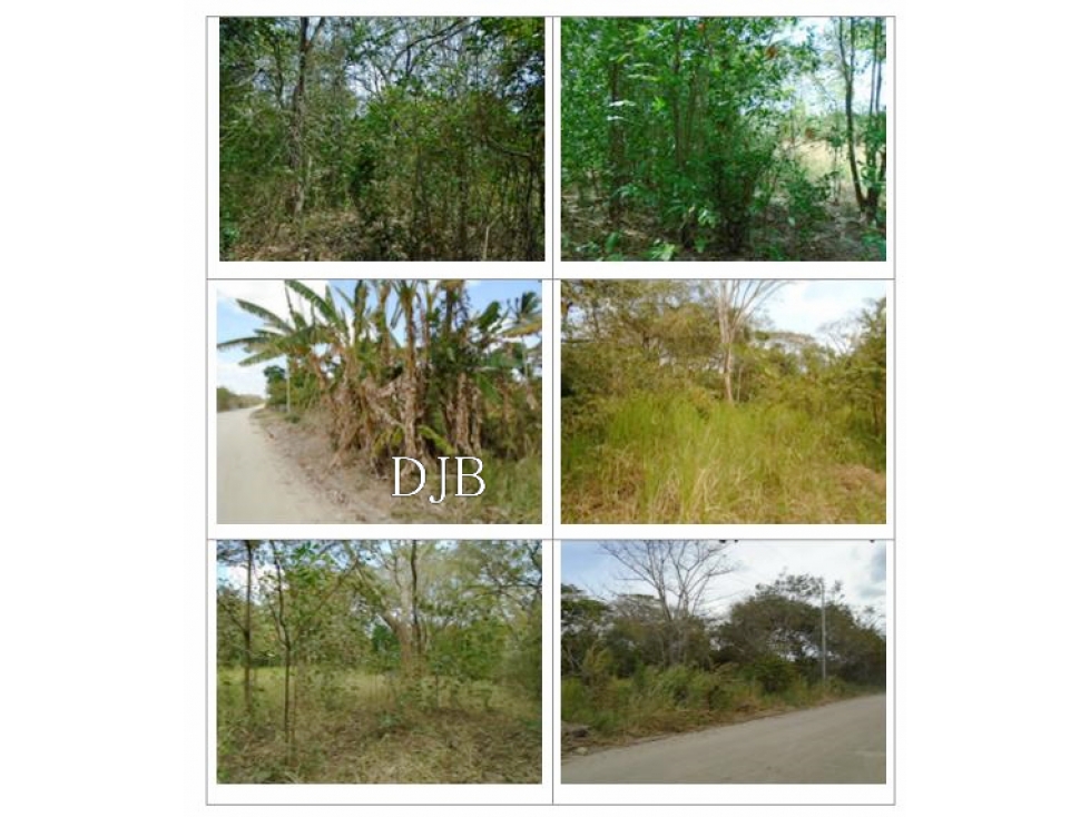 VENTA DE TERRENO CERCA A PLAYA EN JUAN HOMBRON, EL CHIRÚ, COCLÉ - 4