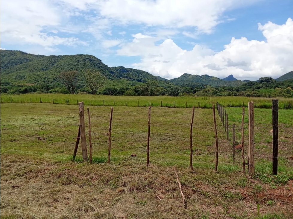 VENTA DE LOTES EN PENONOME - TORO BRAVO