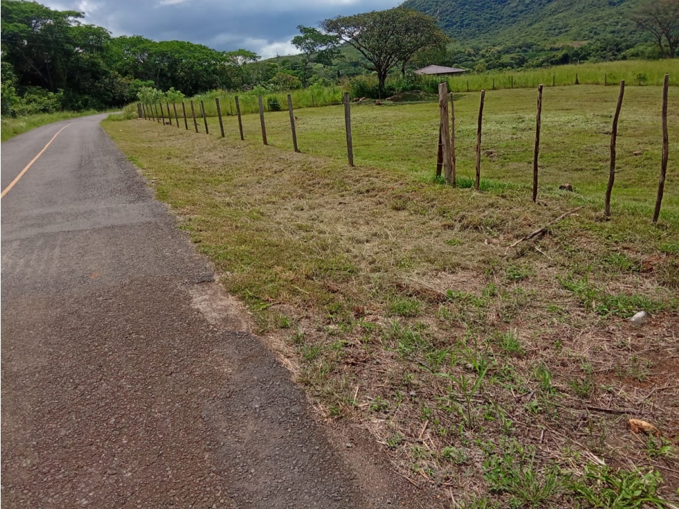 VENTA DE LOTES EN PENONOME - TORO BRAVO — foto 2