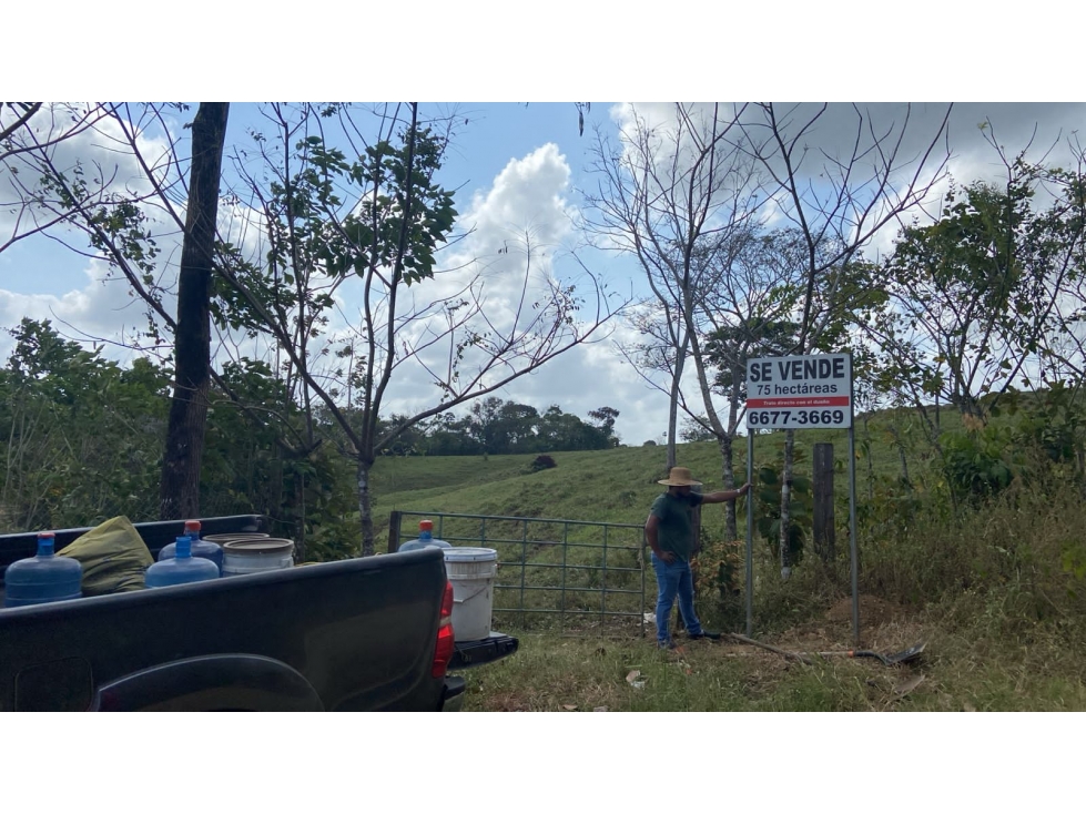 VENTA DE FINCA EN DARIEN - SANTA FÉ - 2