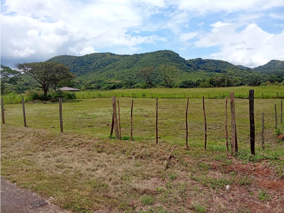 VENTA DE LOTES EN PENONOME - TORO BRAVO — foto 3