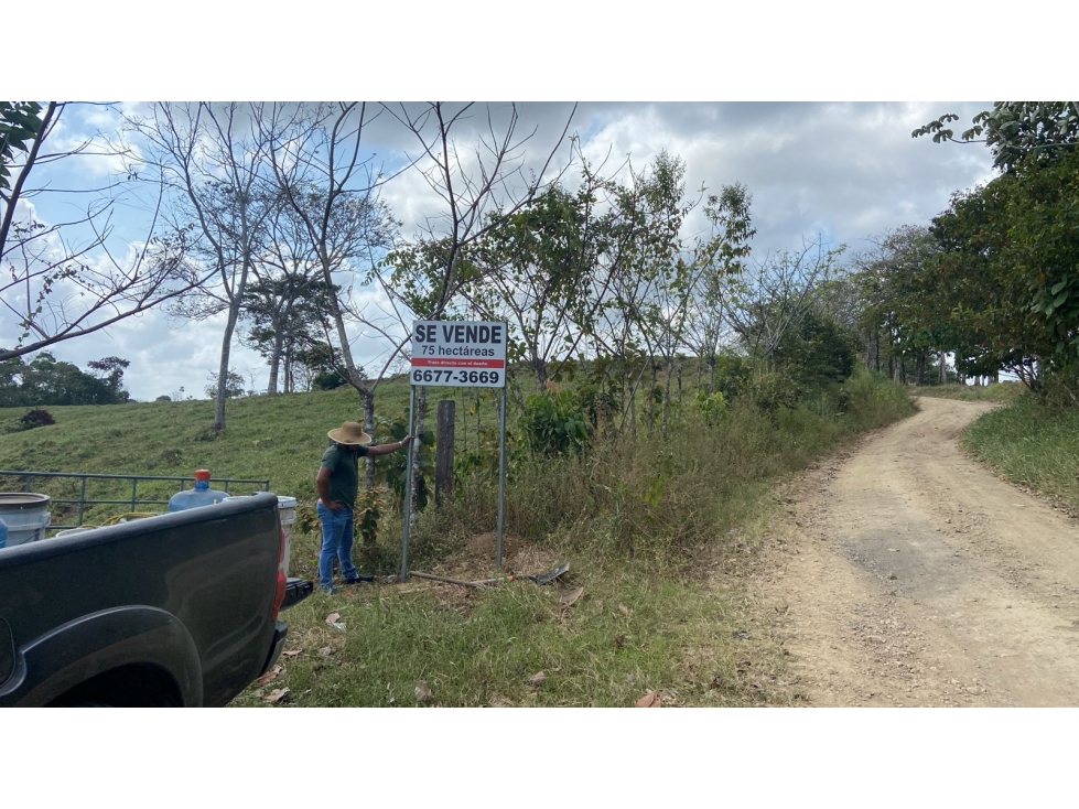 VENTA DE FINCA EN DARIEN - SANTA FÉ - 3