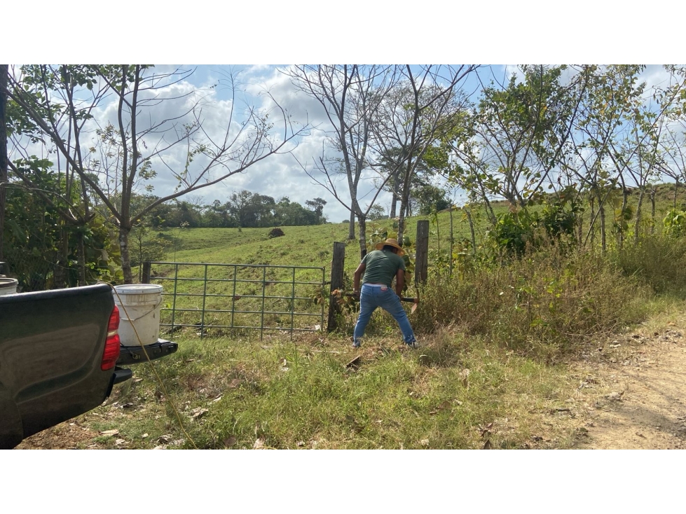 VENTA DE FINCA EN DARIEN - SANTA FÉ - 4