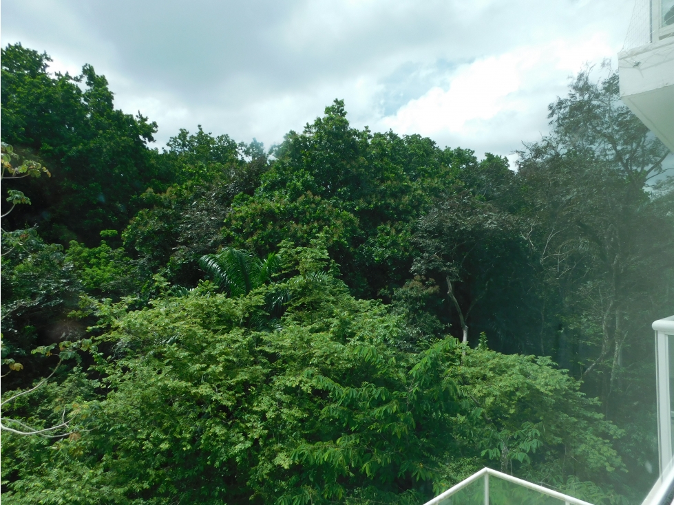 Bello apartamento rodeado de naturaleza — foto 2