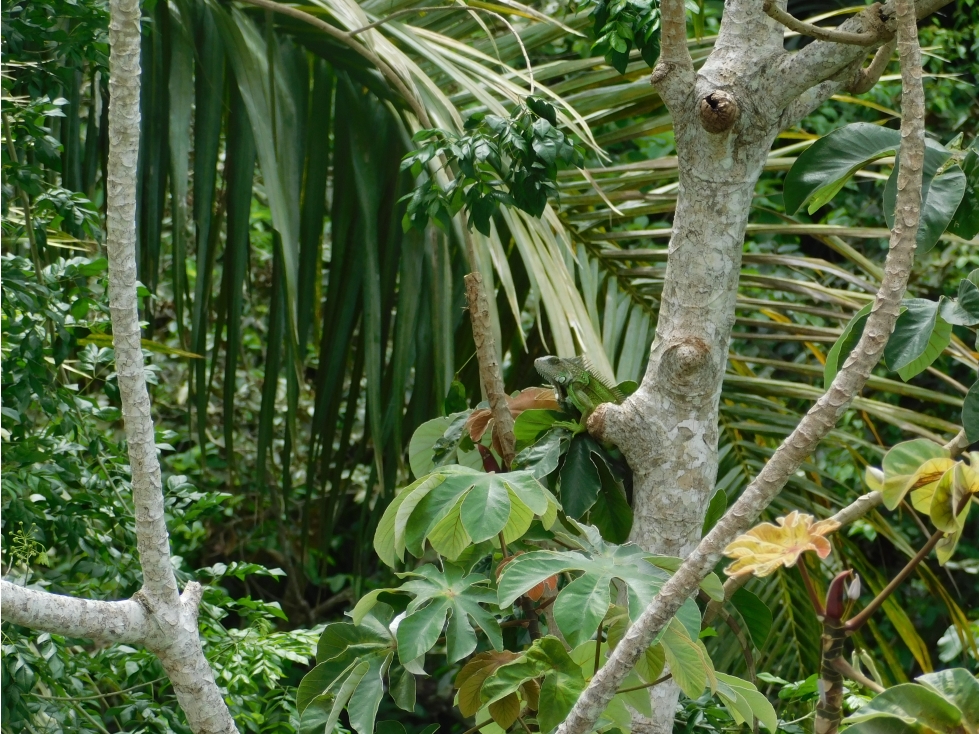 Bello apartamento rodeado de naturaleza — foto 3