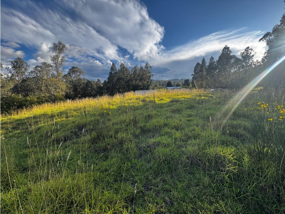 TERRENO EN VENTA EN DELEG SECTOR SOLANO - 1