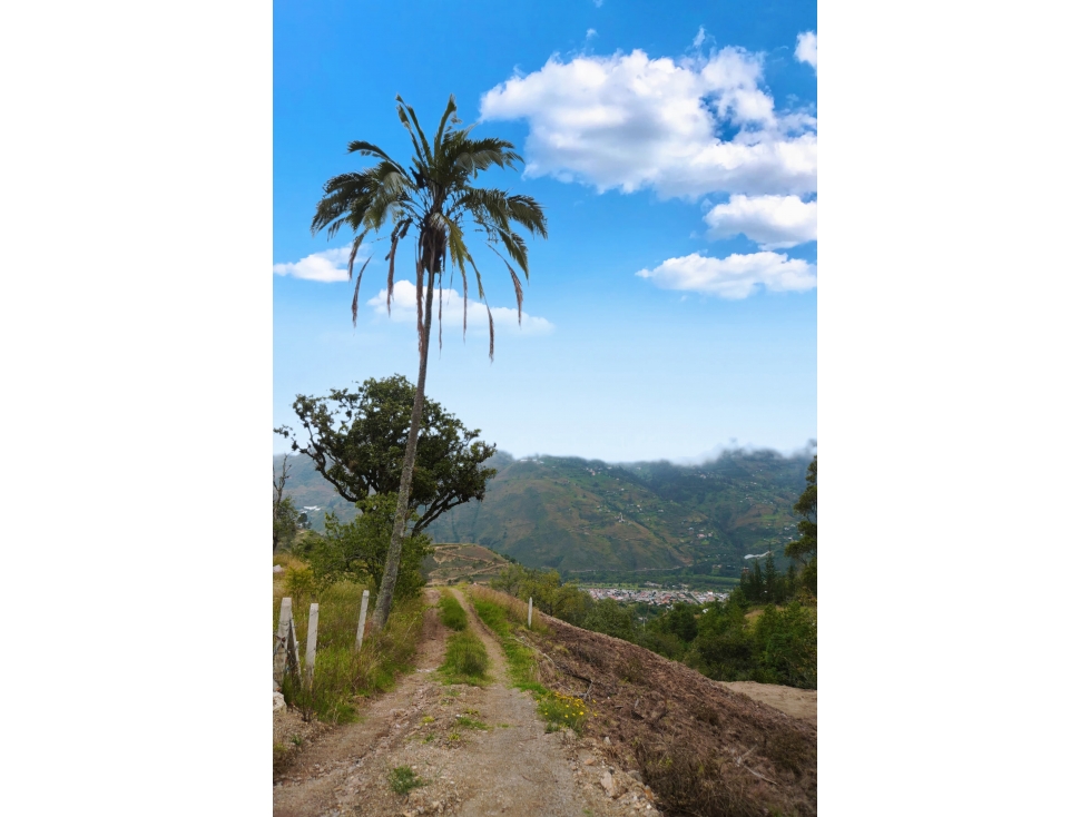 SE VENDE TERRENO DE 5,367m2 SECTOR PIRINCAY ALTO EN PAUTE - 2