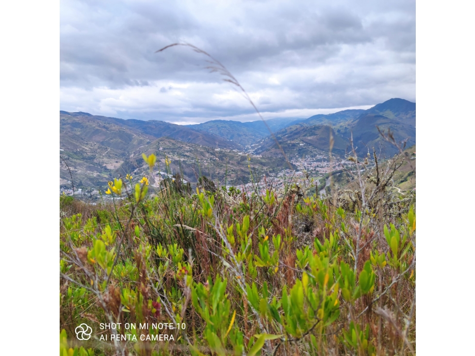 VENDO 2 TERRENOS EN CHICÁN PAUTE, AZUAY - 2