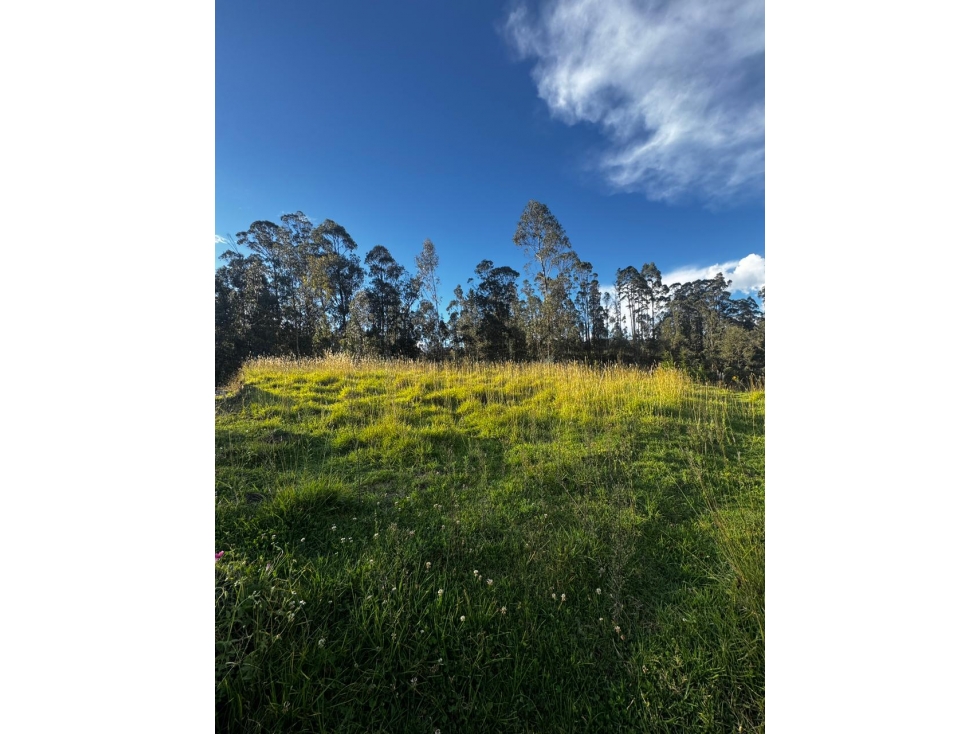 TERRENO EN VENTA EN DELEG SECTOR SOLANO - 2