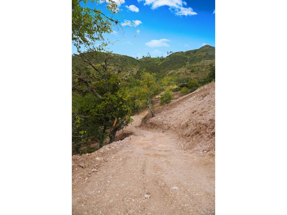 SE VENDE TERRENO DE 5,367m2 SECTOR PIRINCAY ALTO EN PAUTE - 3