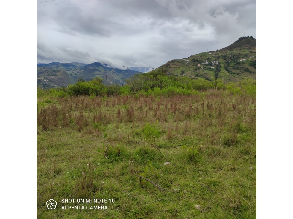 VENDO 2 TERRENOS EN CHICÁN PAUTE, AZUAY - 3